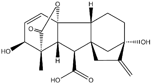 赤霉素GIBBERELLIC ACID，居然有這么神奇？